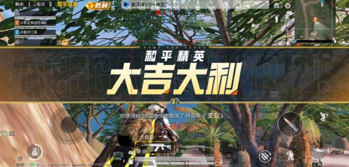 和平精英透视3元挂购买 - 性价比极高的实战辅助